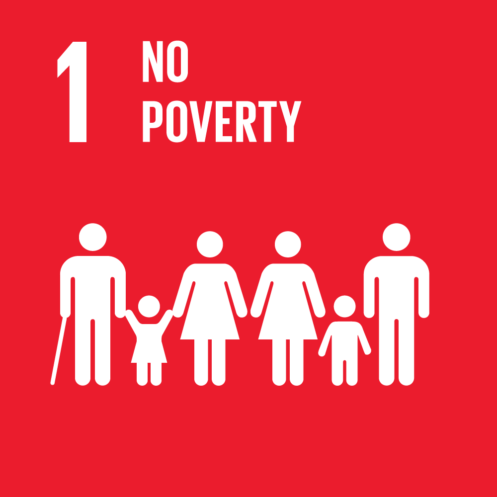 sdg icons 1