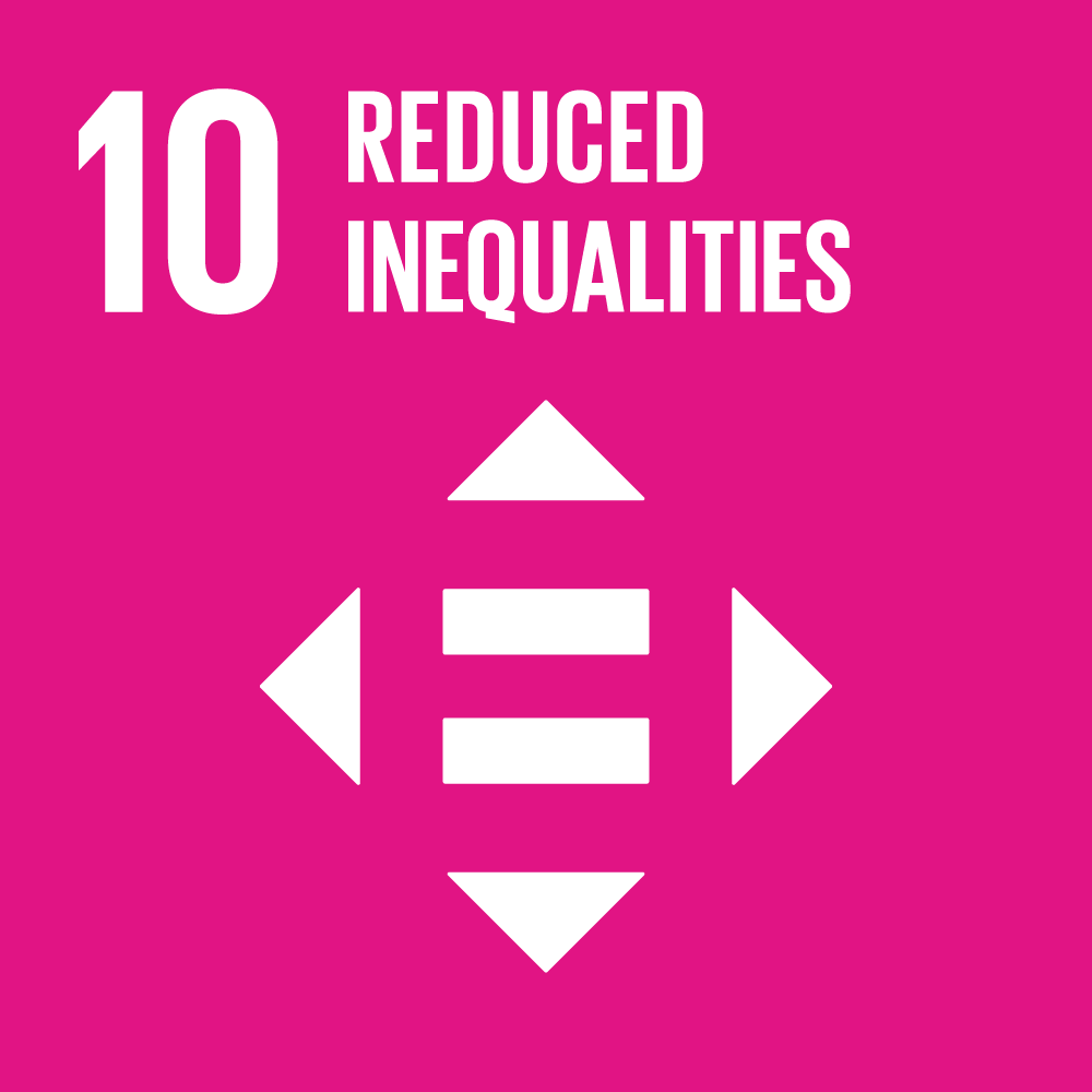 sdg icons 10