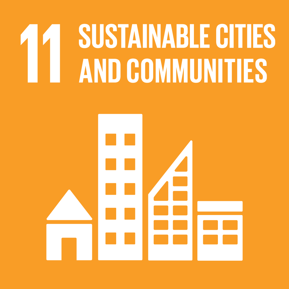 sdg icons 11