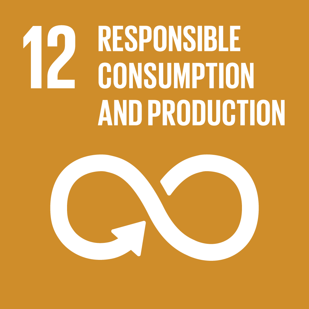 sdg icons 12