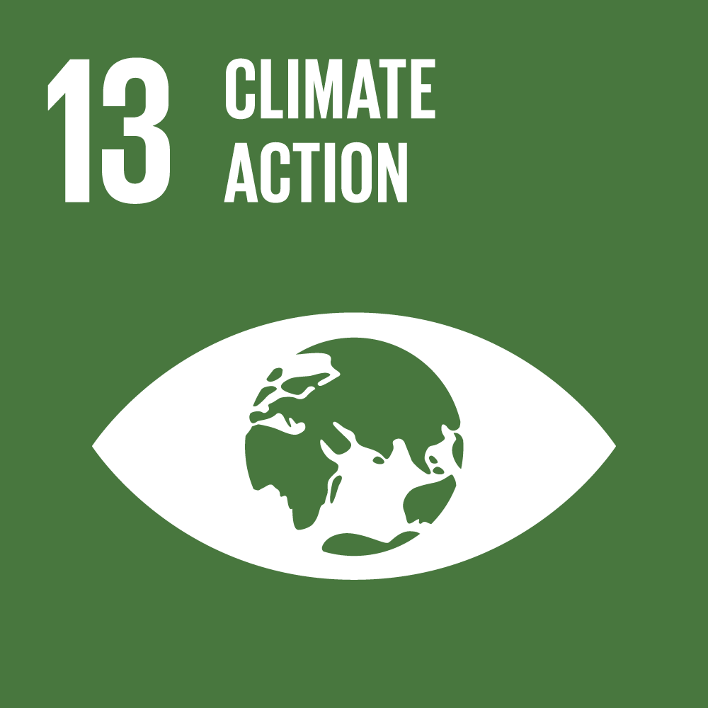 sdg icons 13