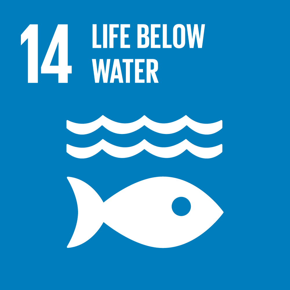 sdg icons 14
