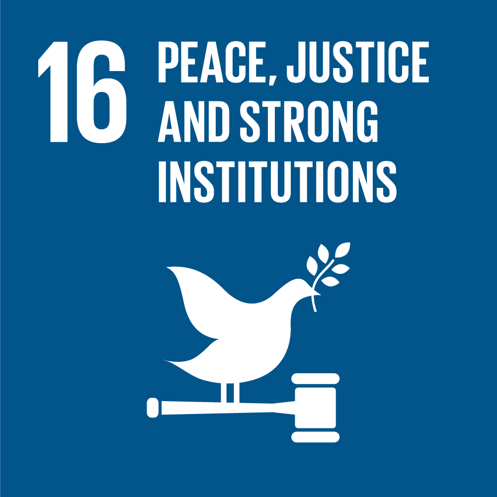 sdg icons 16