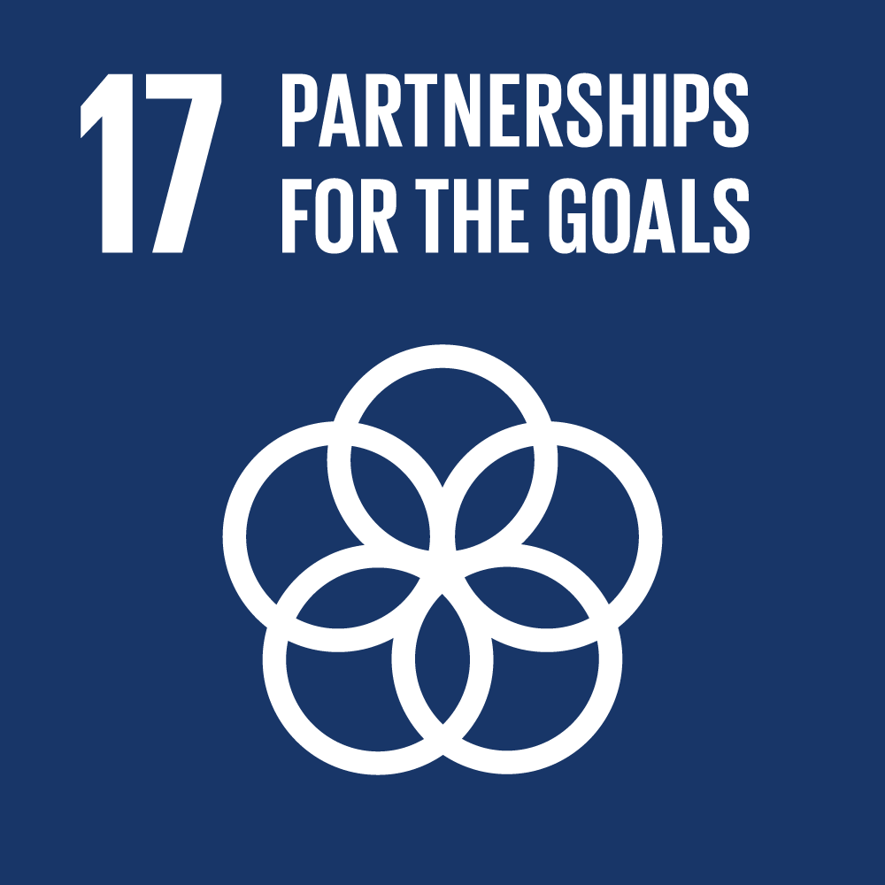 sdg icons 17