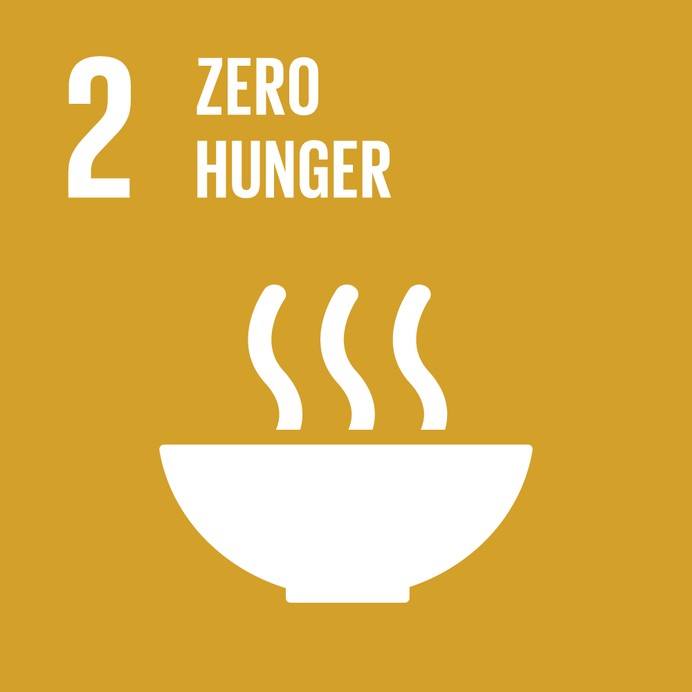 sdg icons 2