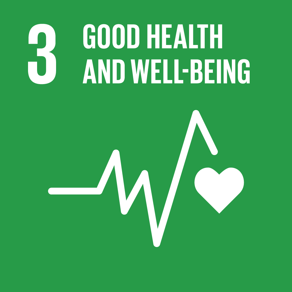 sdg icons 3