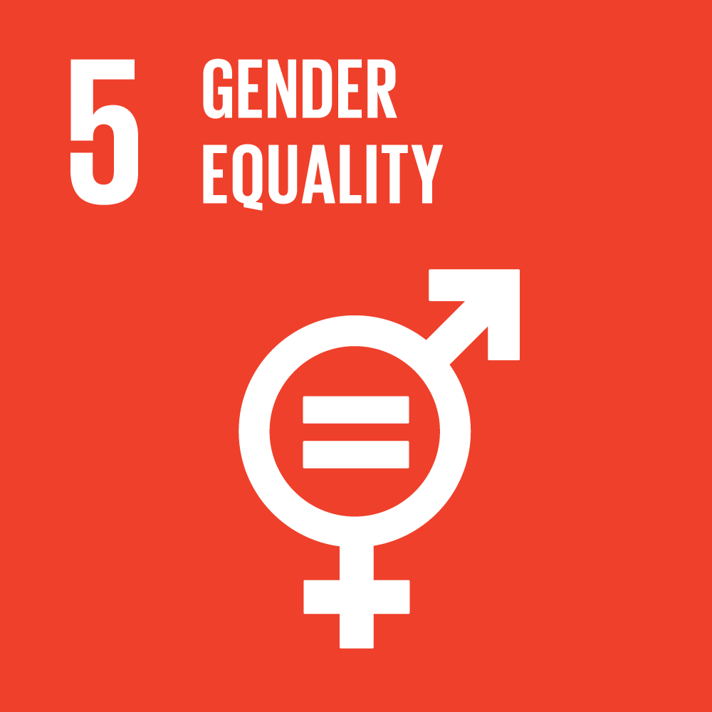 sdg icons 5
