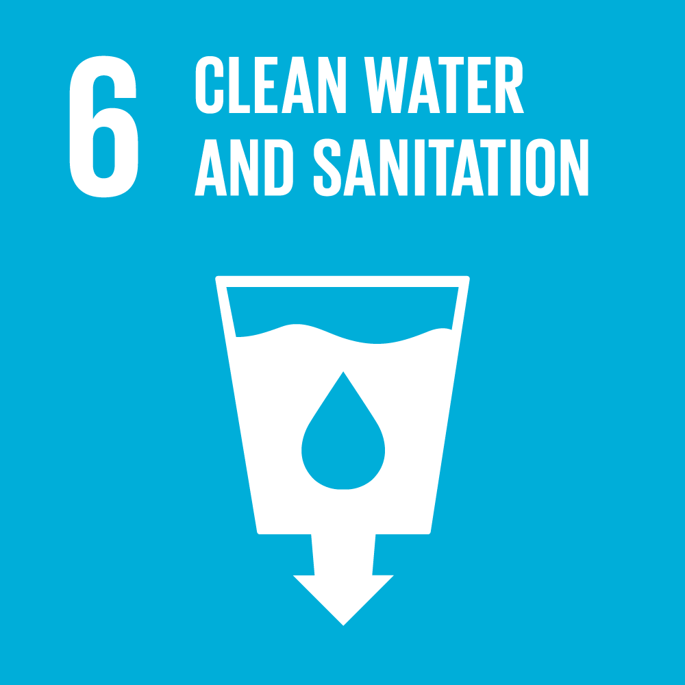 sdg icons 6