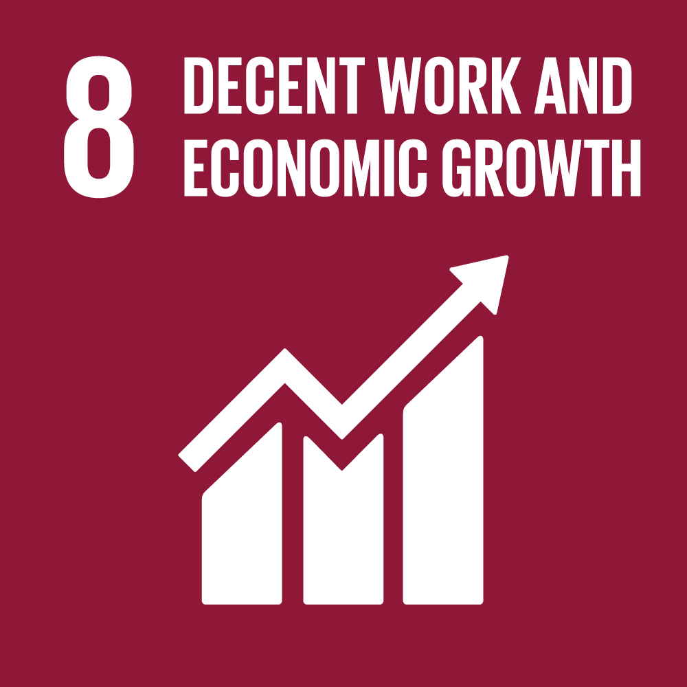 sdg icons 8