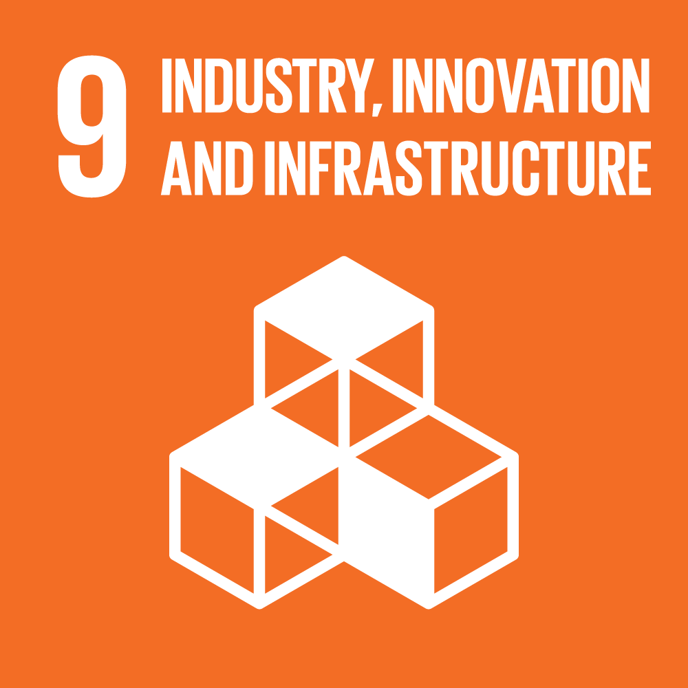 sdg icons 9